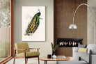 Pixalot Peafowl