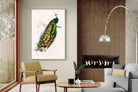 Pixalot Peafowl