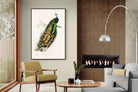 Pixalot Peafowl