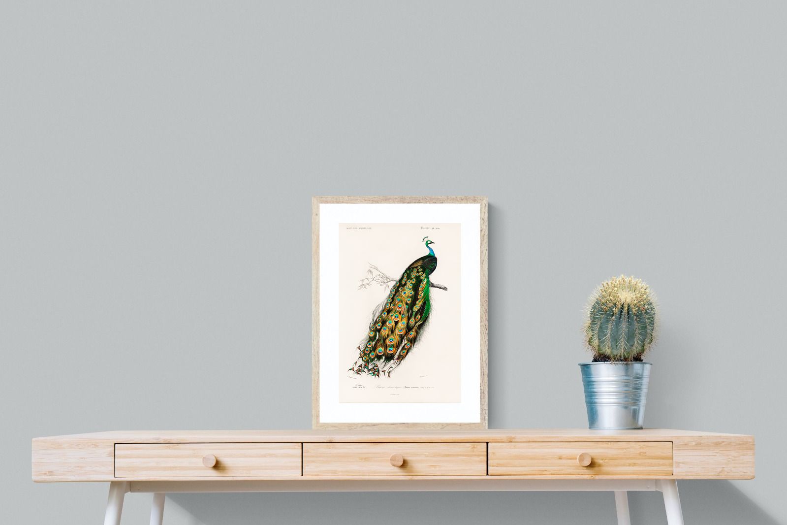 Pixalot Peafowl