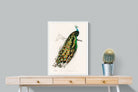 Pixalot Peafowl