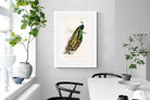 Pixalot Peafowl