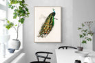 Pixalot Peafowl