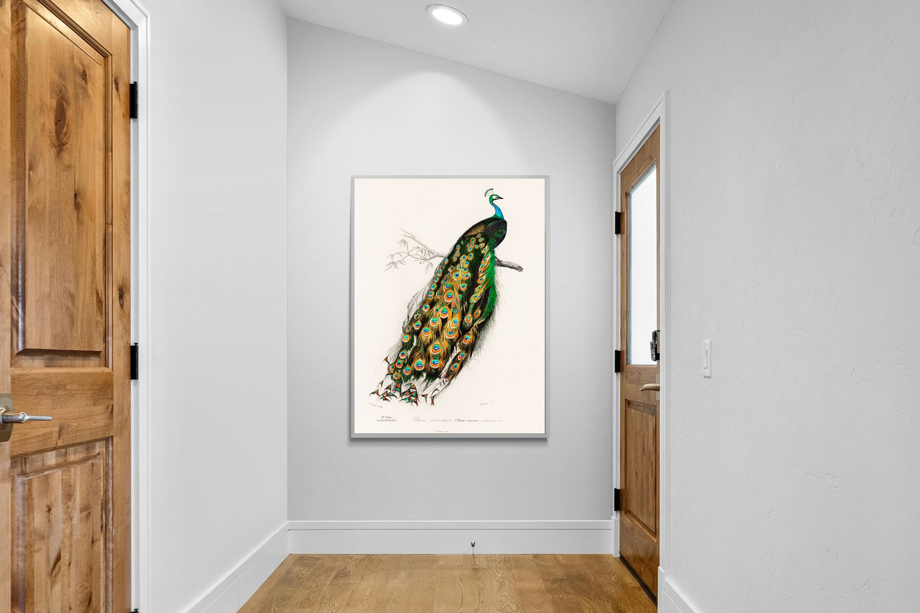 Pixalot Peafowl