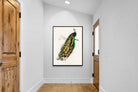 Pixalot Peafowl