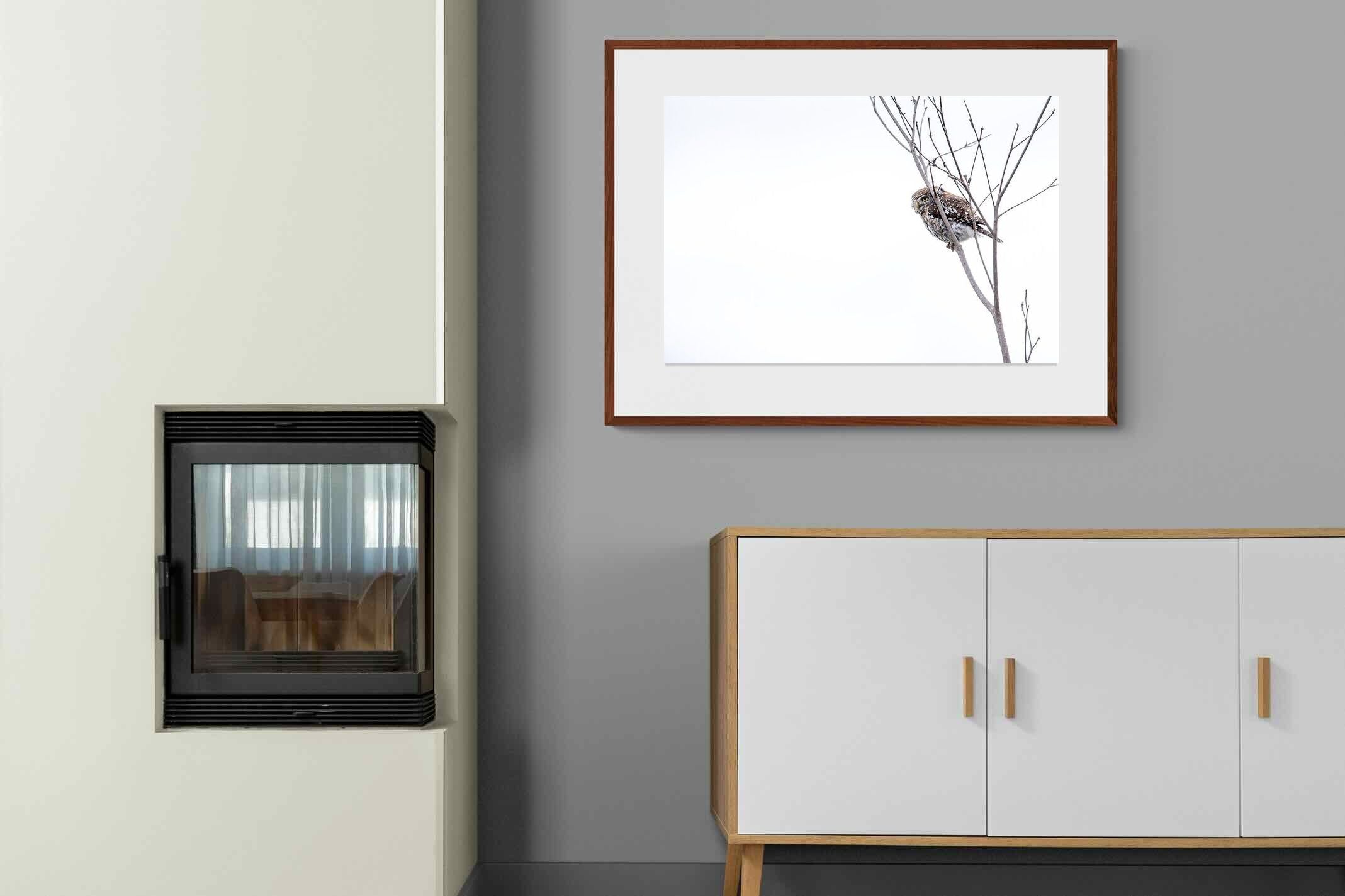 Pixalot Pearl-Spotted Owlet