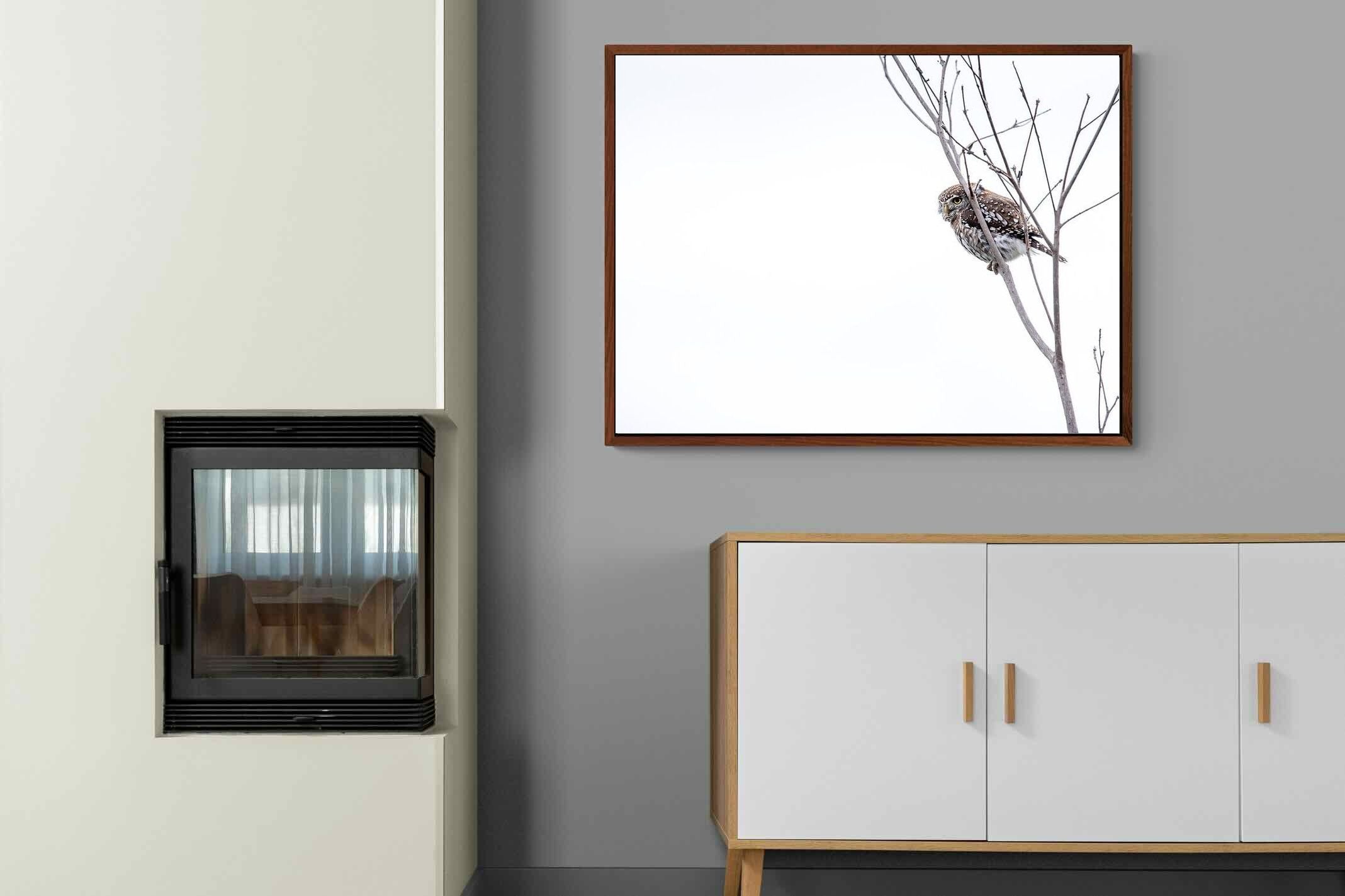 Pixalot Pearl-Spotted Owlet