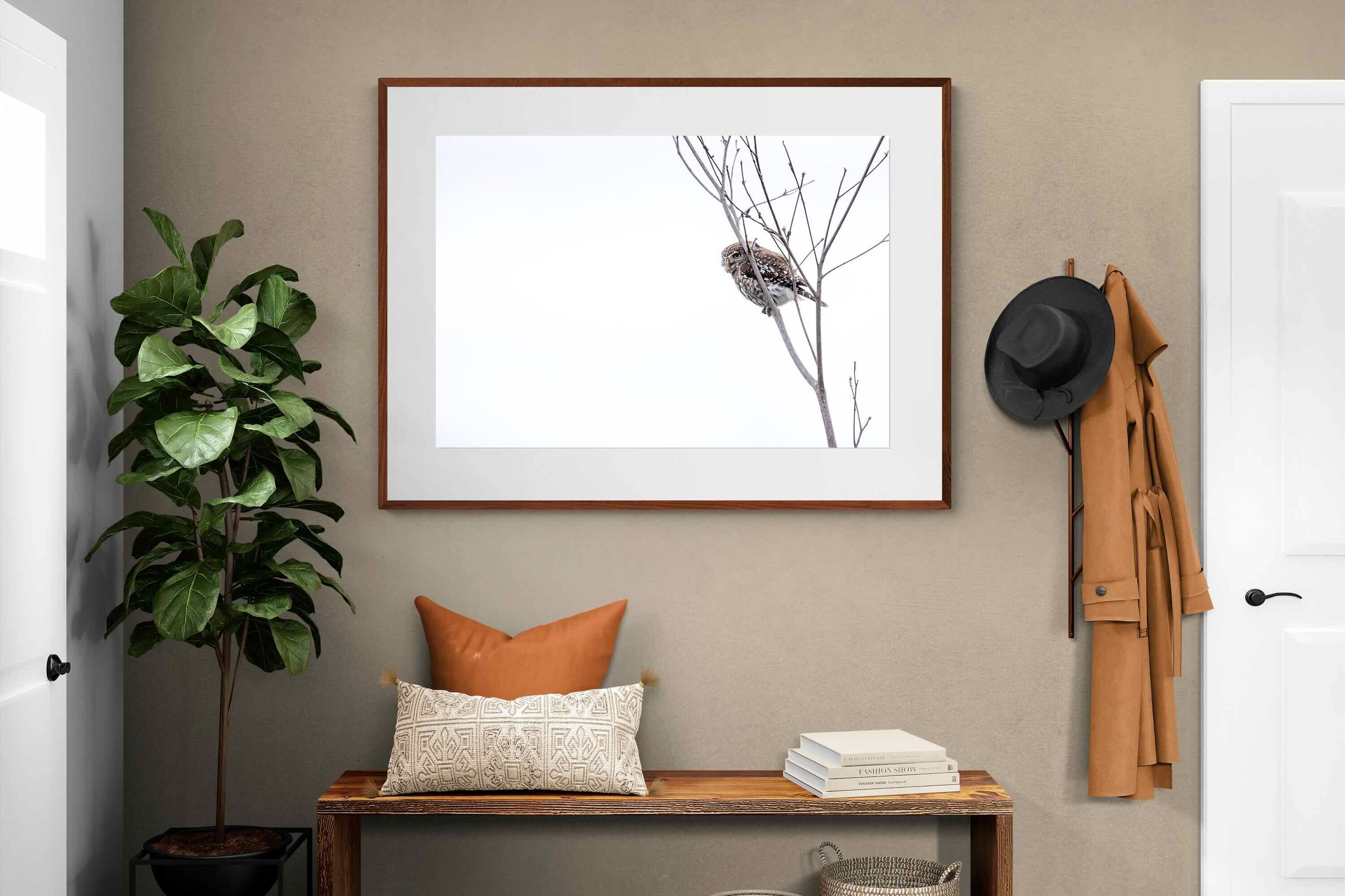 Pixalot Pearl-Spotted Owlet