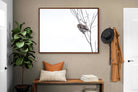 Pixalot Pearl-Spotted Owlet