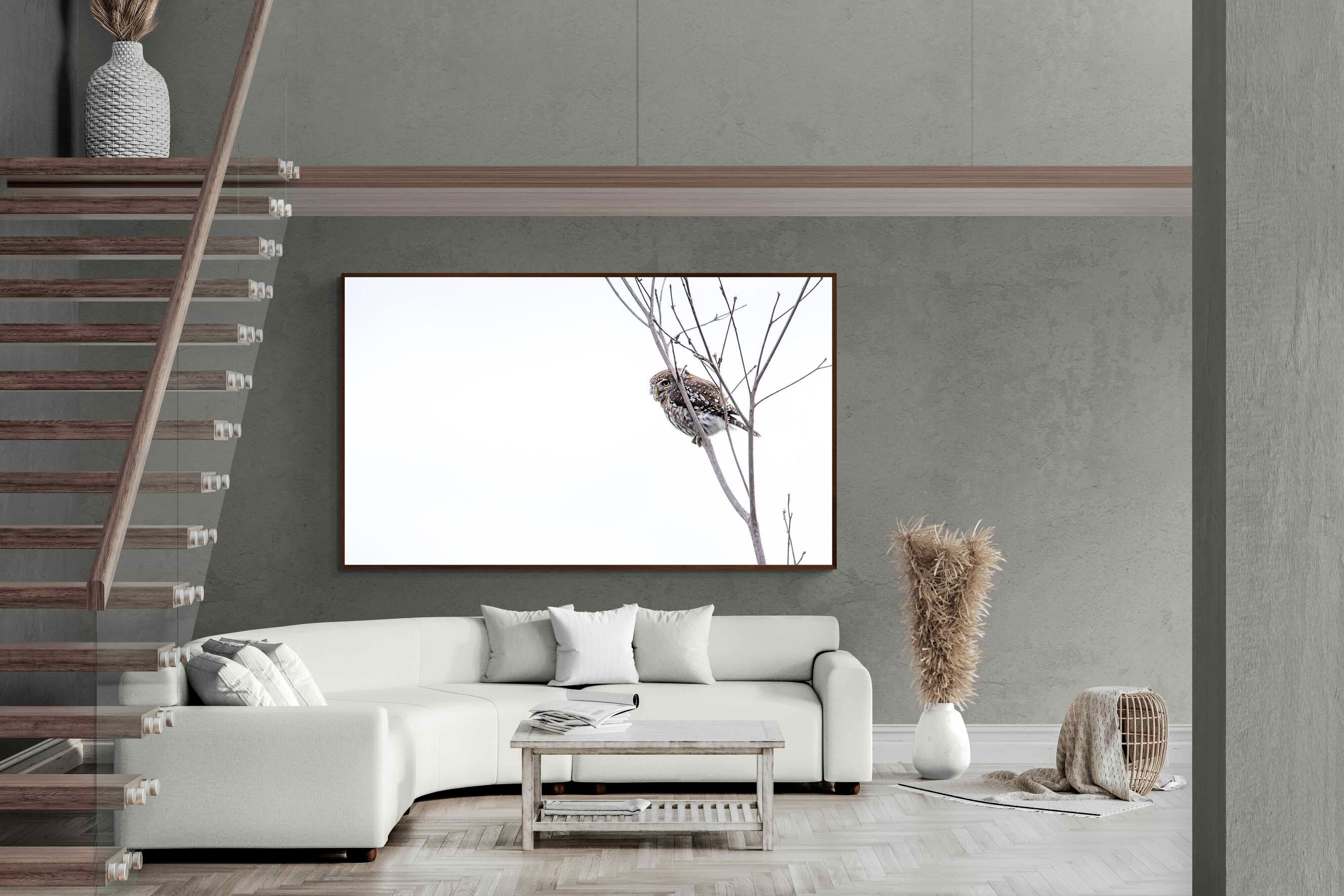 Pixalot Pearl-Spotted Owlet