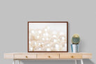 Pixalot ® Pearls