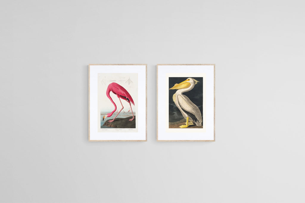 Pelican & Flamingo Illustration Set-Wall_Art-45 x 60cm (x2)-Framed Print-Wood-Pixalot