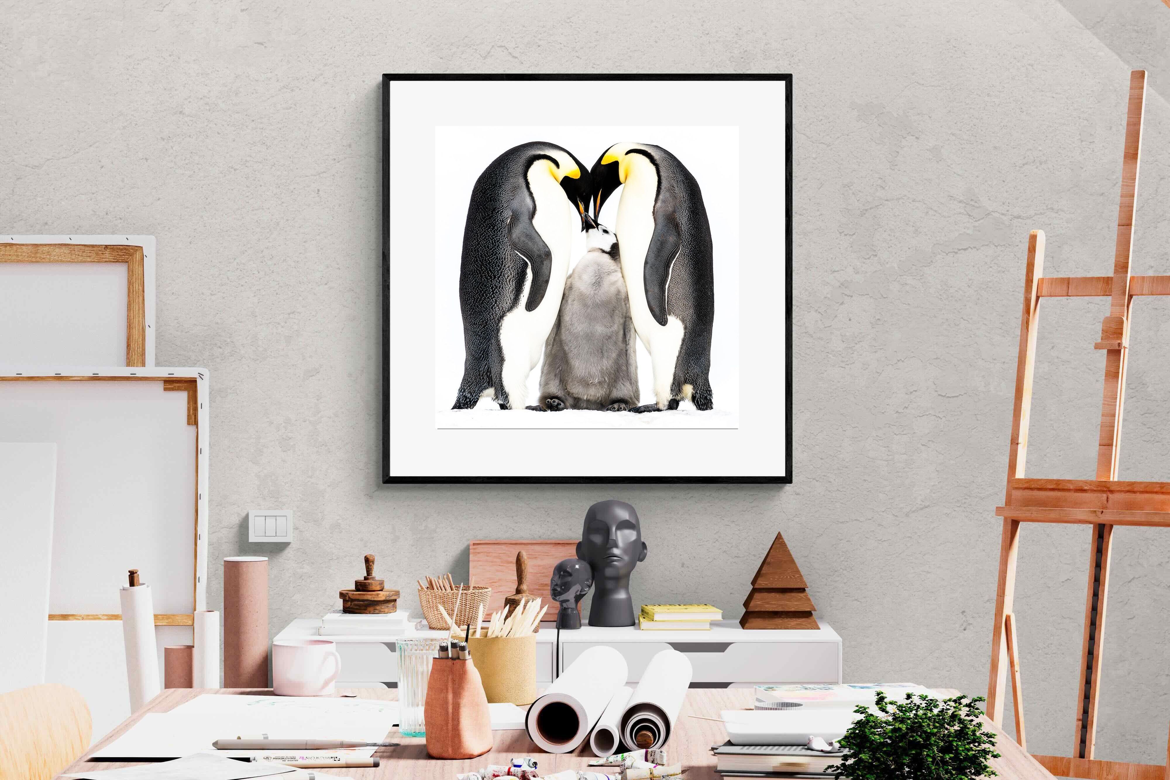 Pixalot Penguin Family