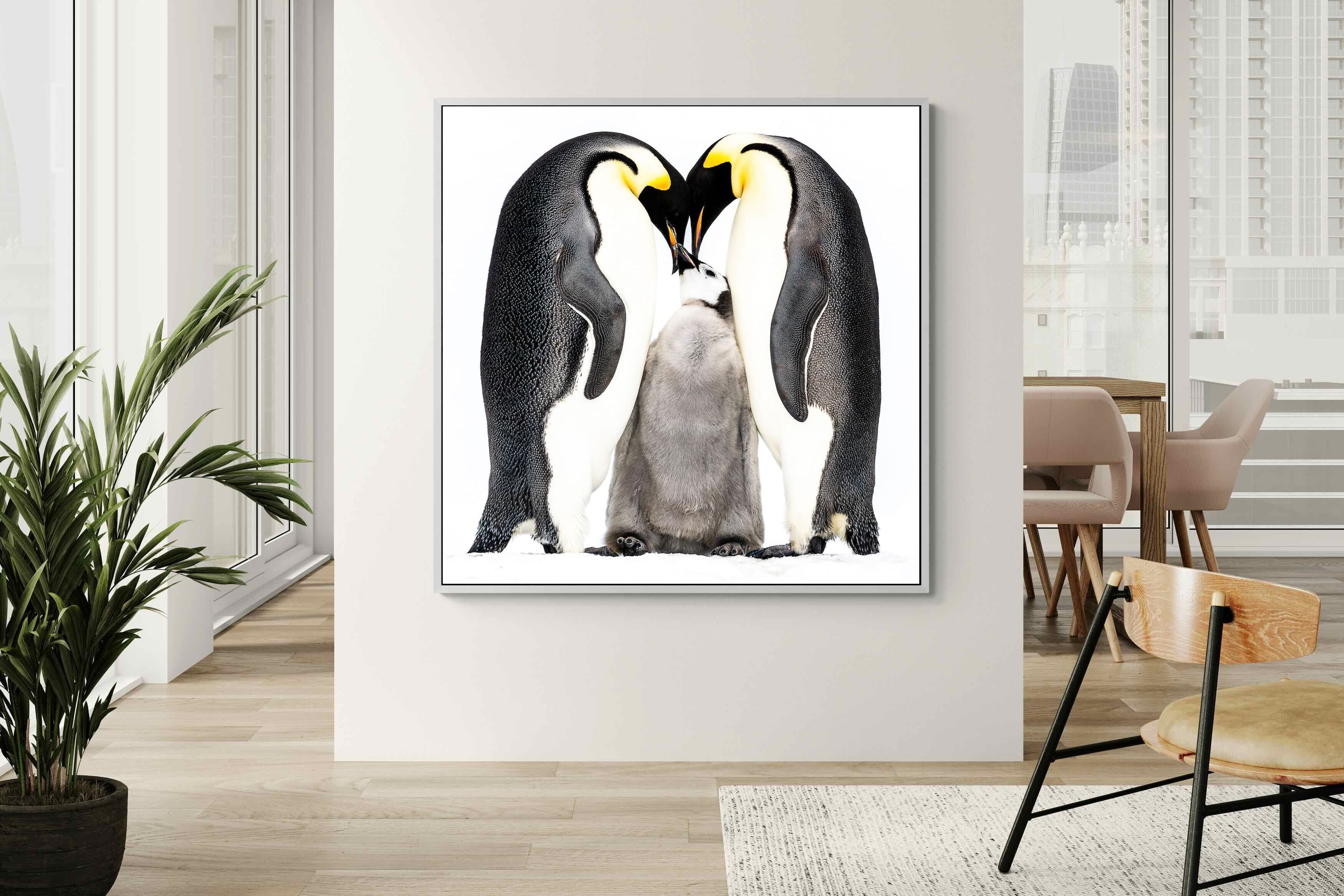Pixalot Penguin Family