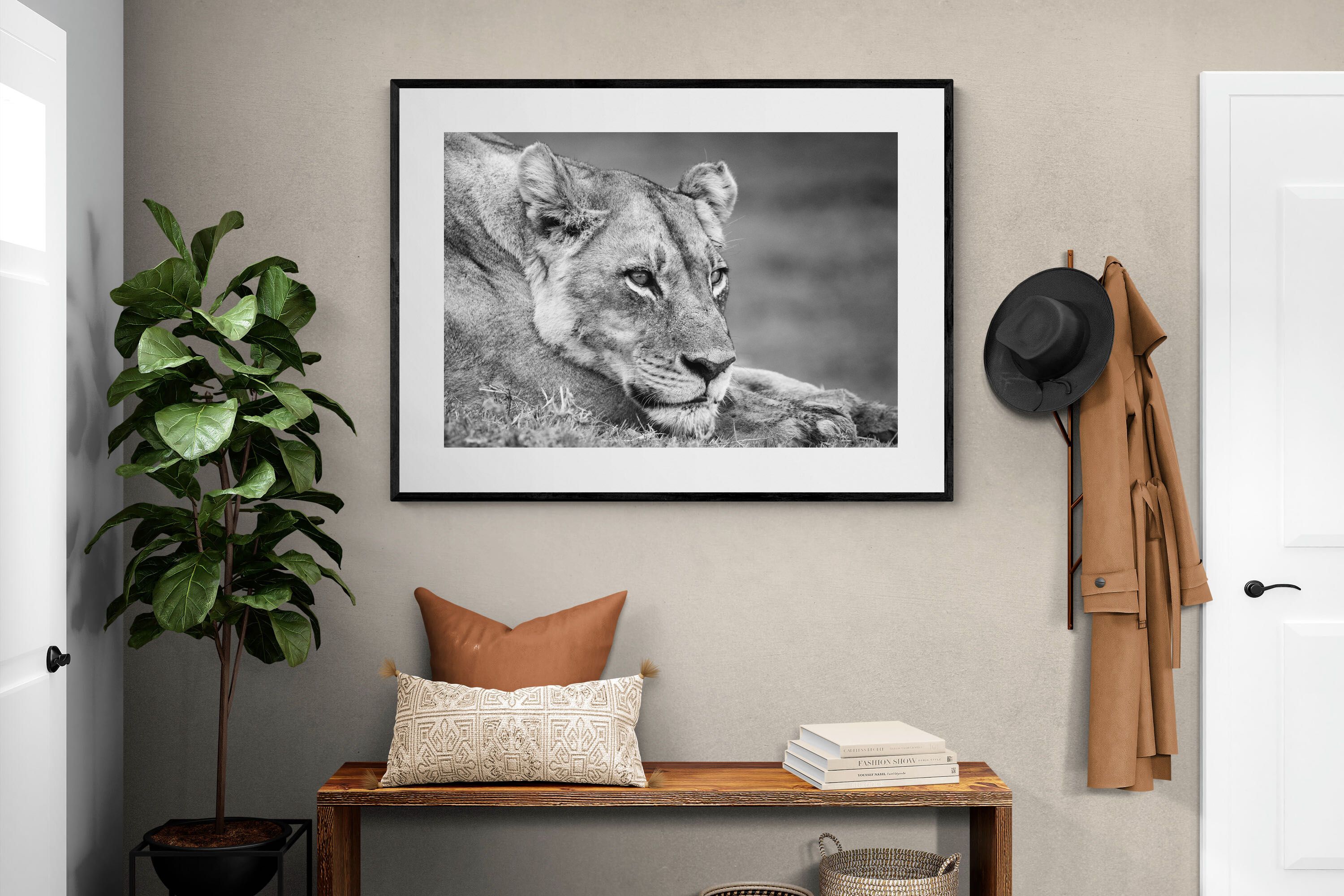 Pixalot Pensive Lioness