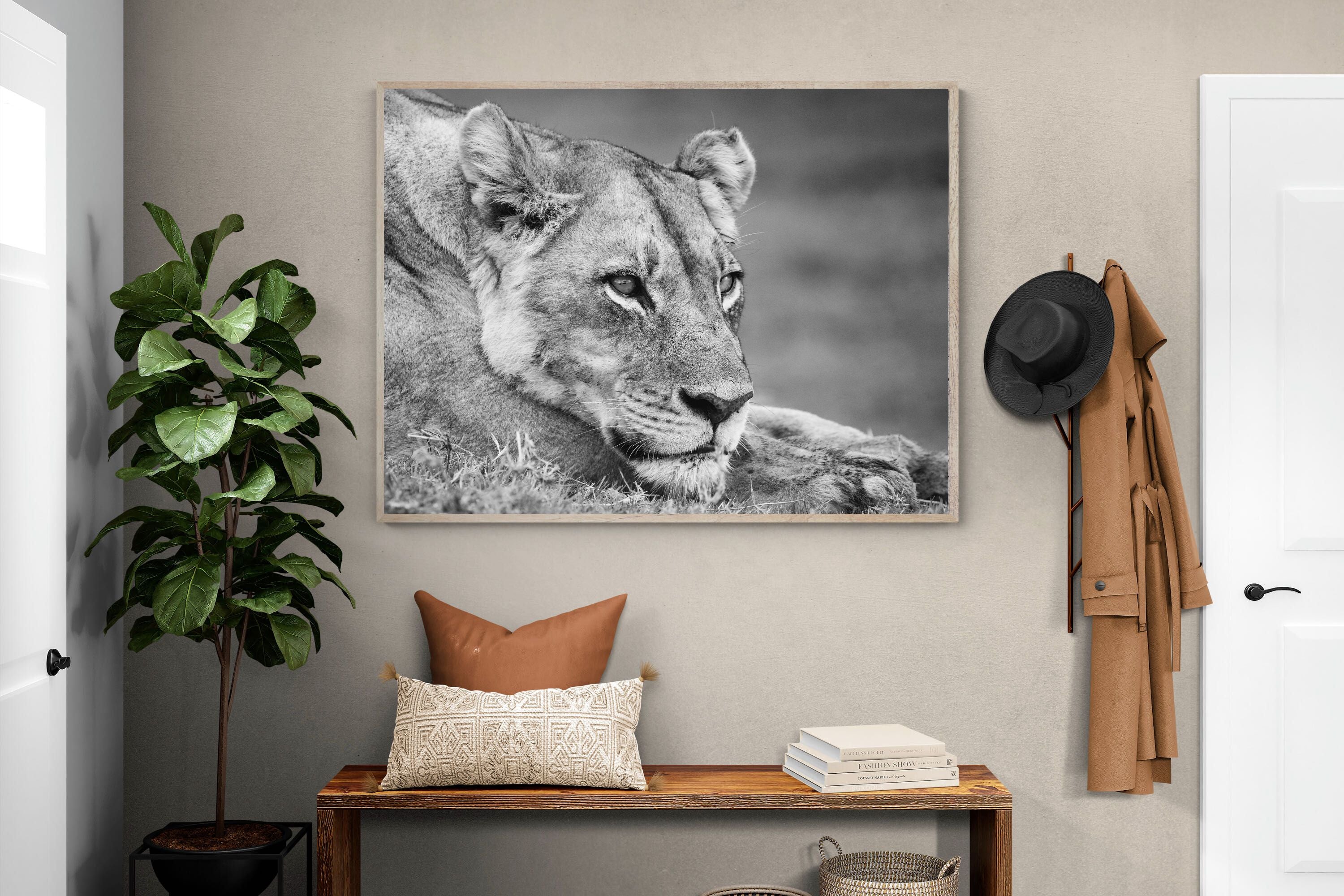 Pixalot Pensive Lioness