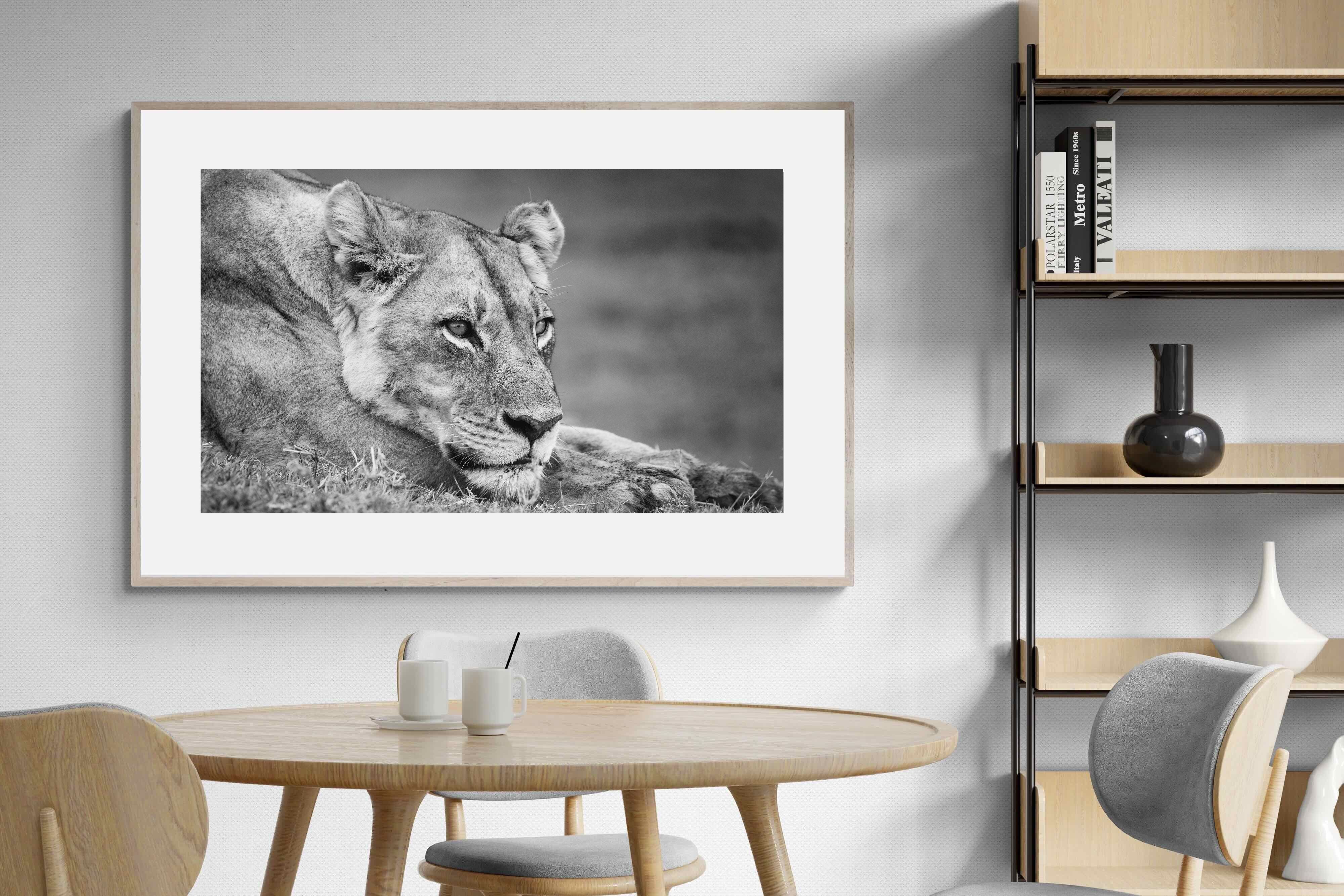 Pixalot Pensive Lioness