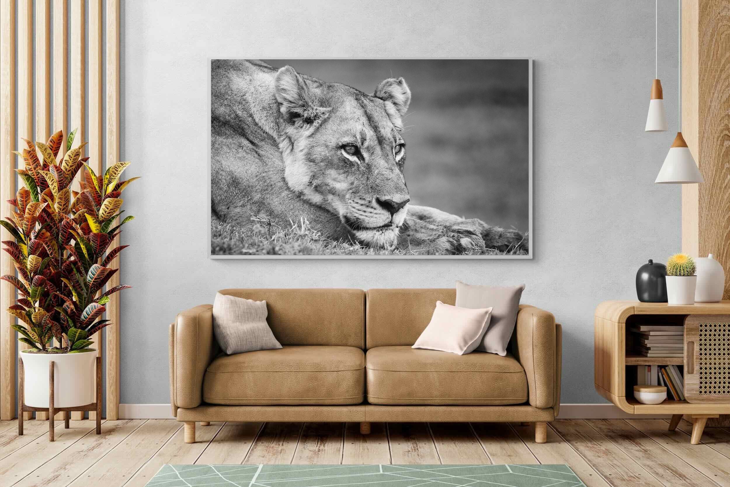 Pixalot Pensive Lioness