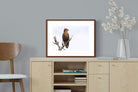 Pixalot ® Perched
