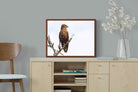 Pixalot ® Perched