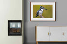 Pixalot ® Pied Kingfisher