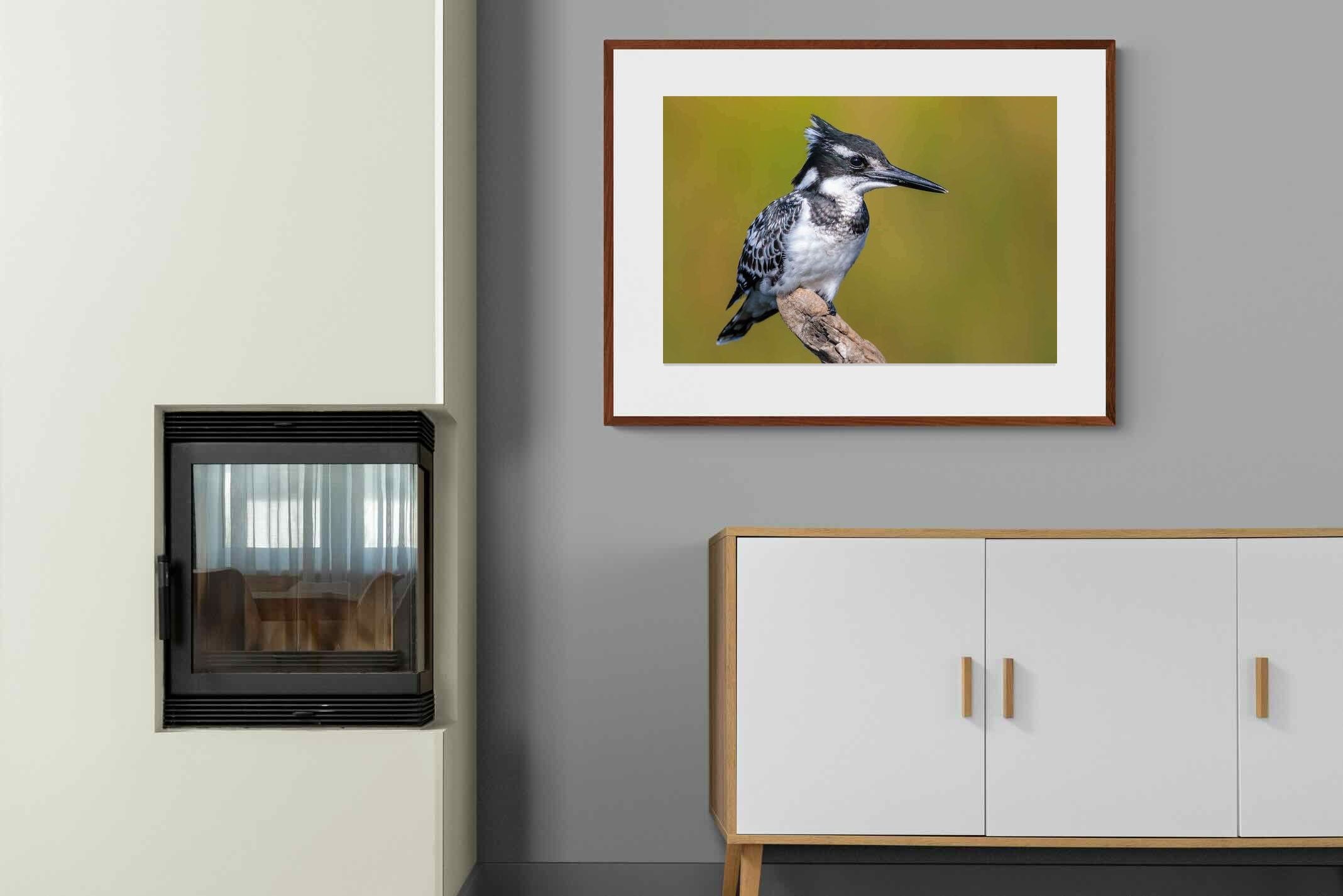 Pixalot ® Pied Kingfisher