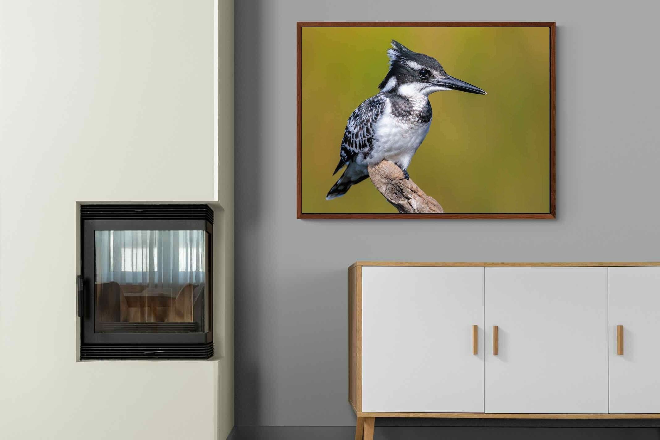 Pixalot ® Pied Kingfisher
