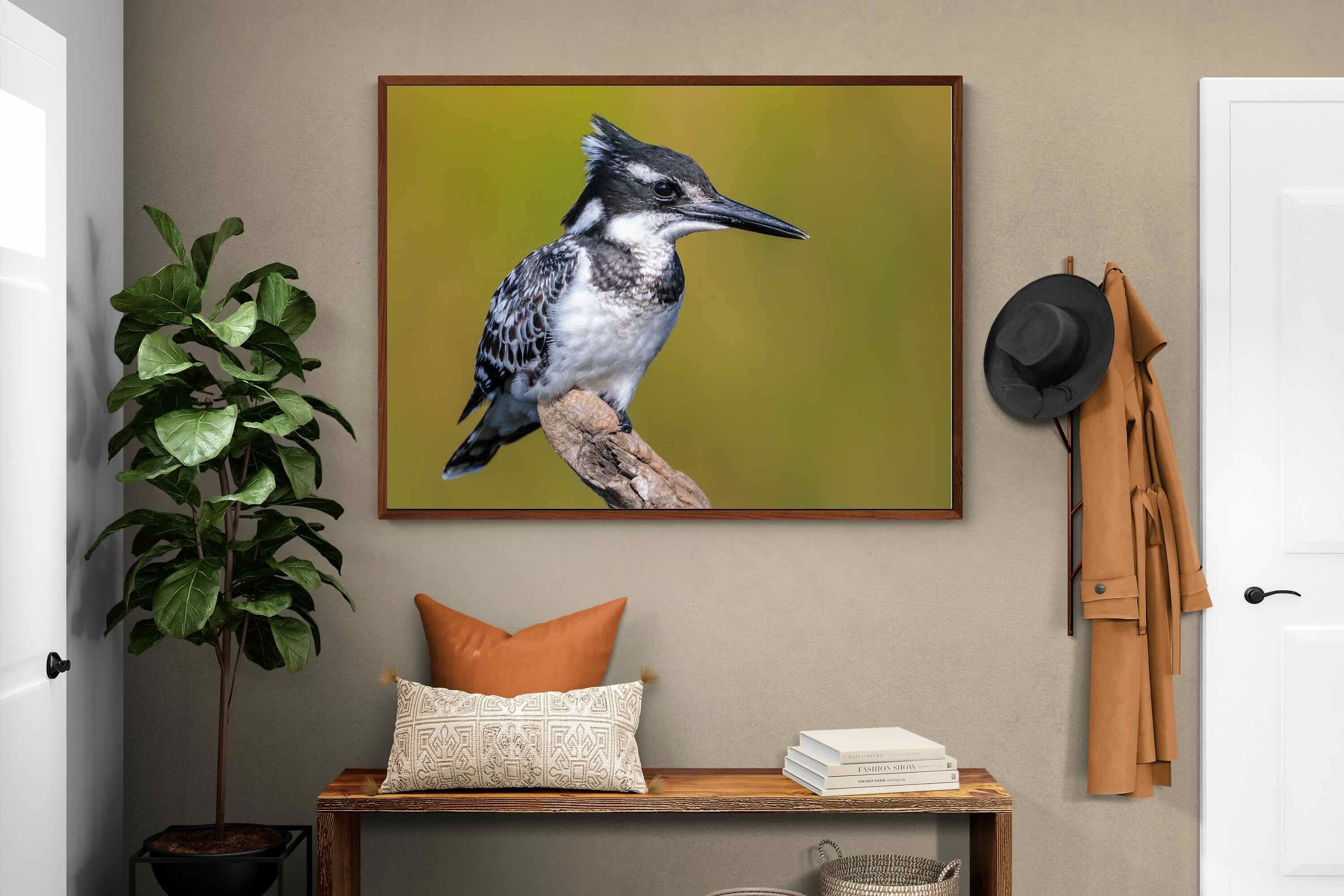 Pixalot ® Pied Kingfisher