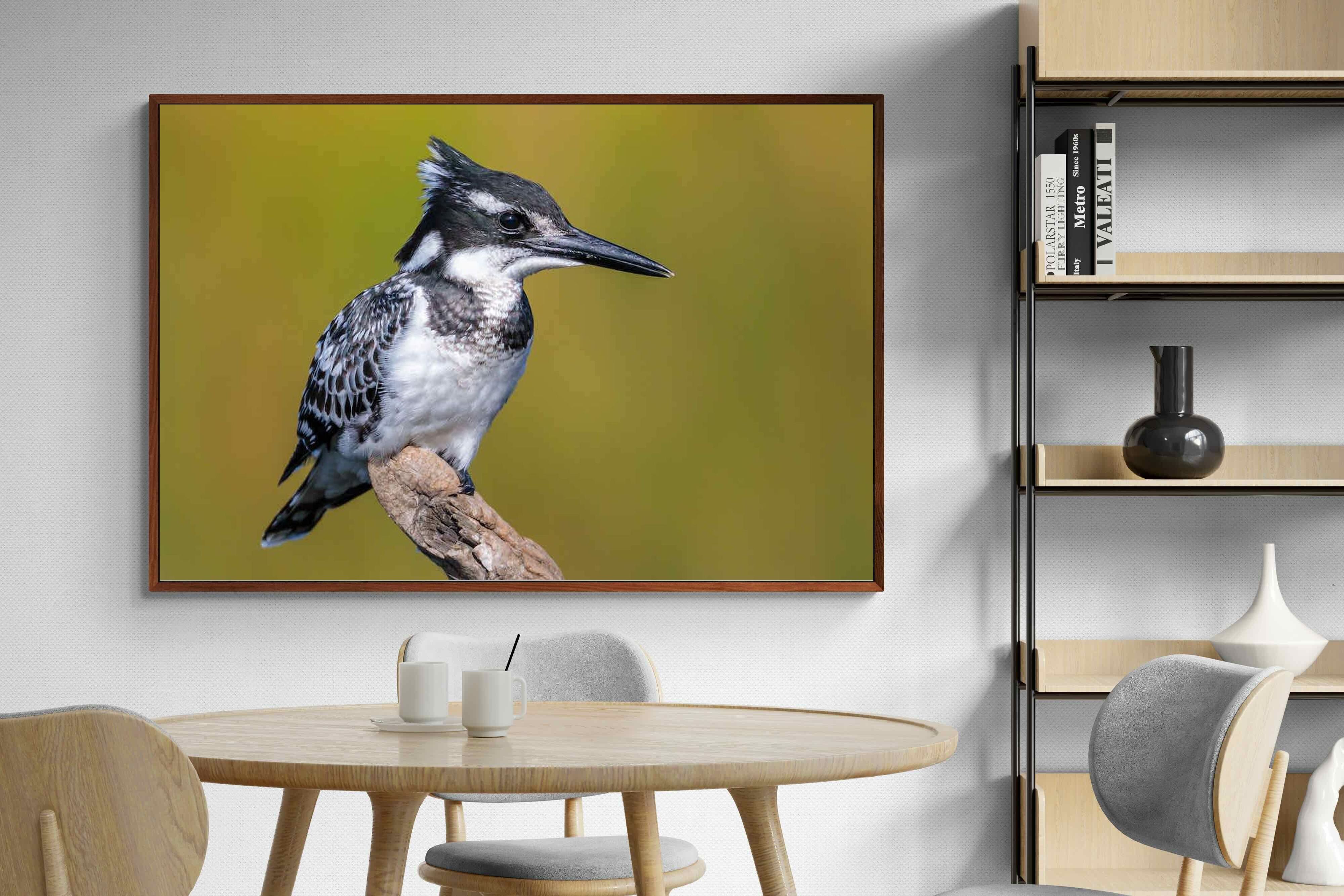 Pixalot ® Pied Kingfisher