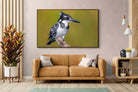 Pixalot ® Pied Kingfisher