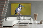 Pixalot ® Pied Kingfisher