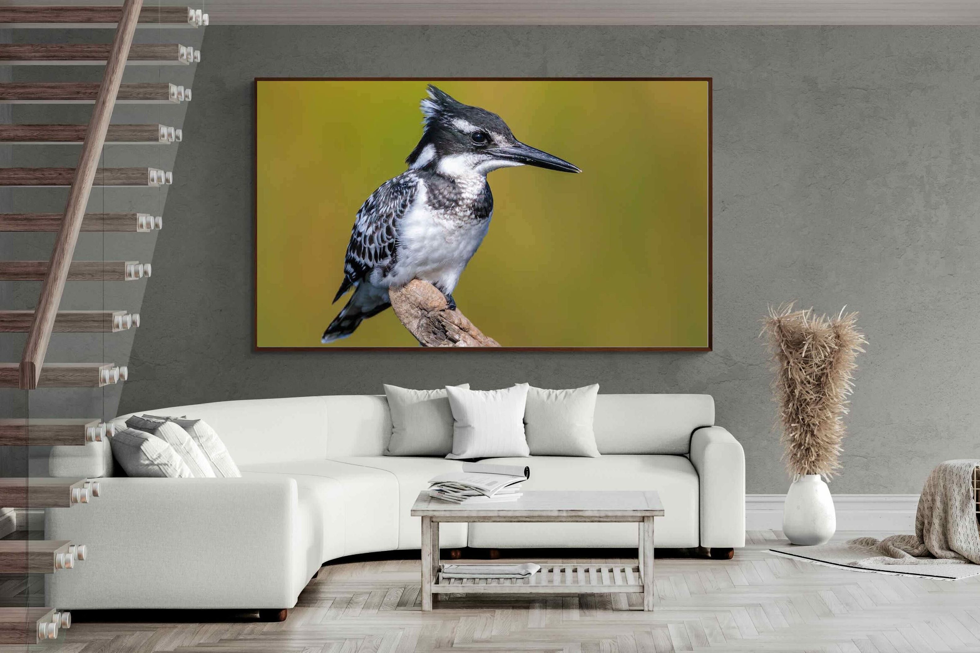Pixalot ® Pied Kingfisher