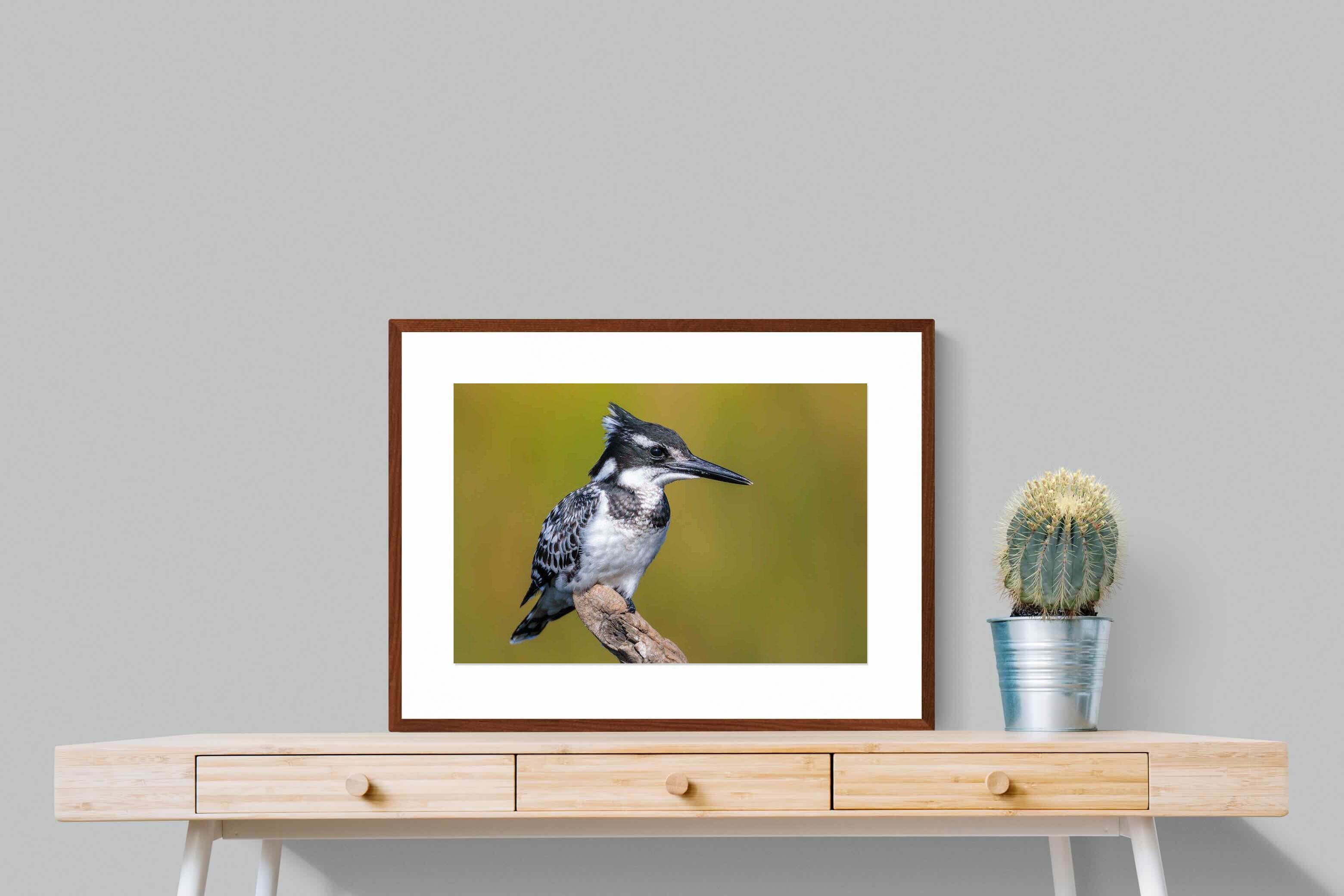 Pixalot ® Pied Kingfisher