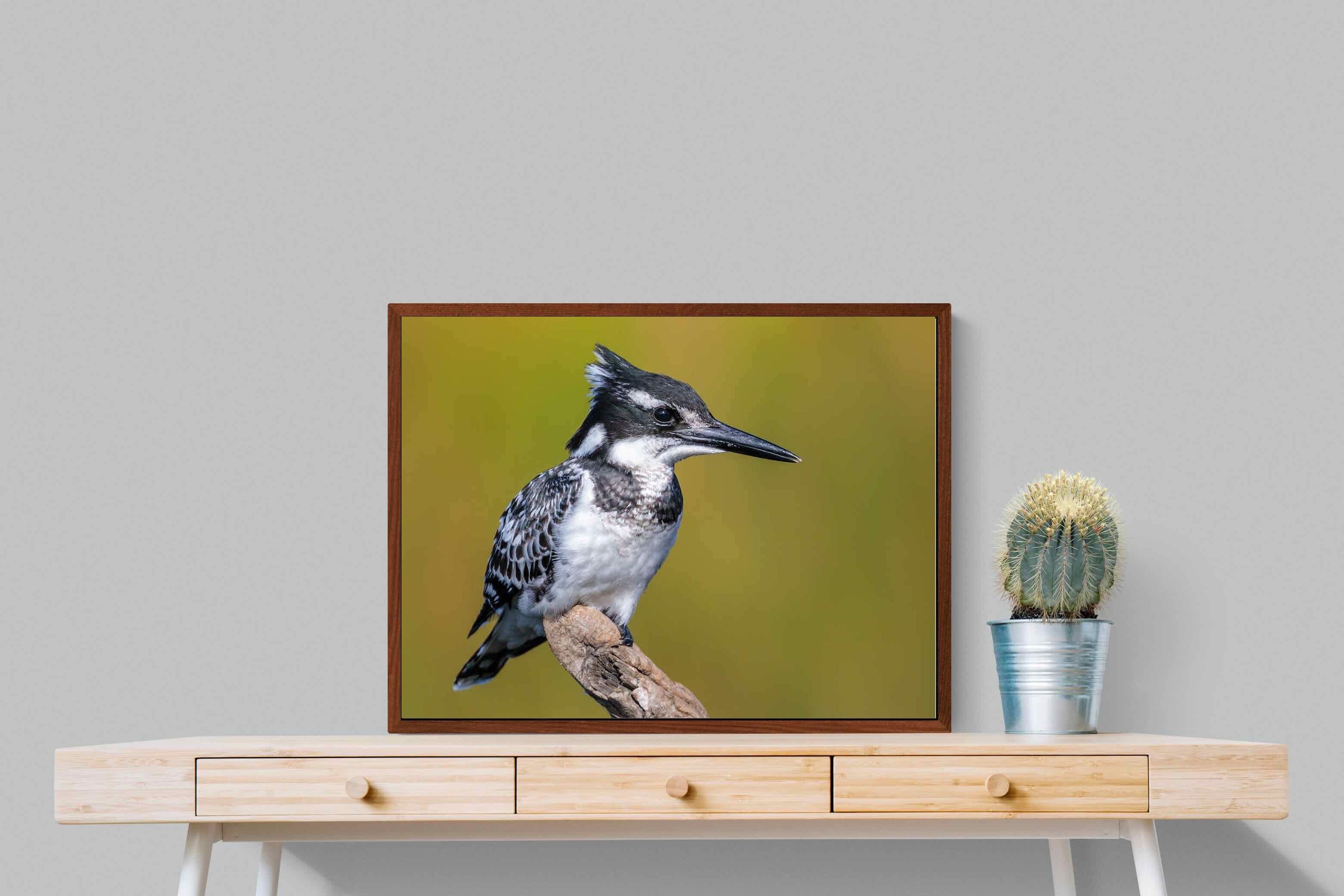 Pixalot ® Pied Kingfisher
