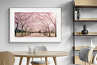 Pixalot ® Pink Blossom