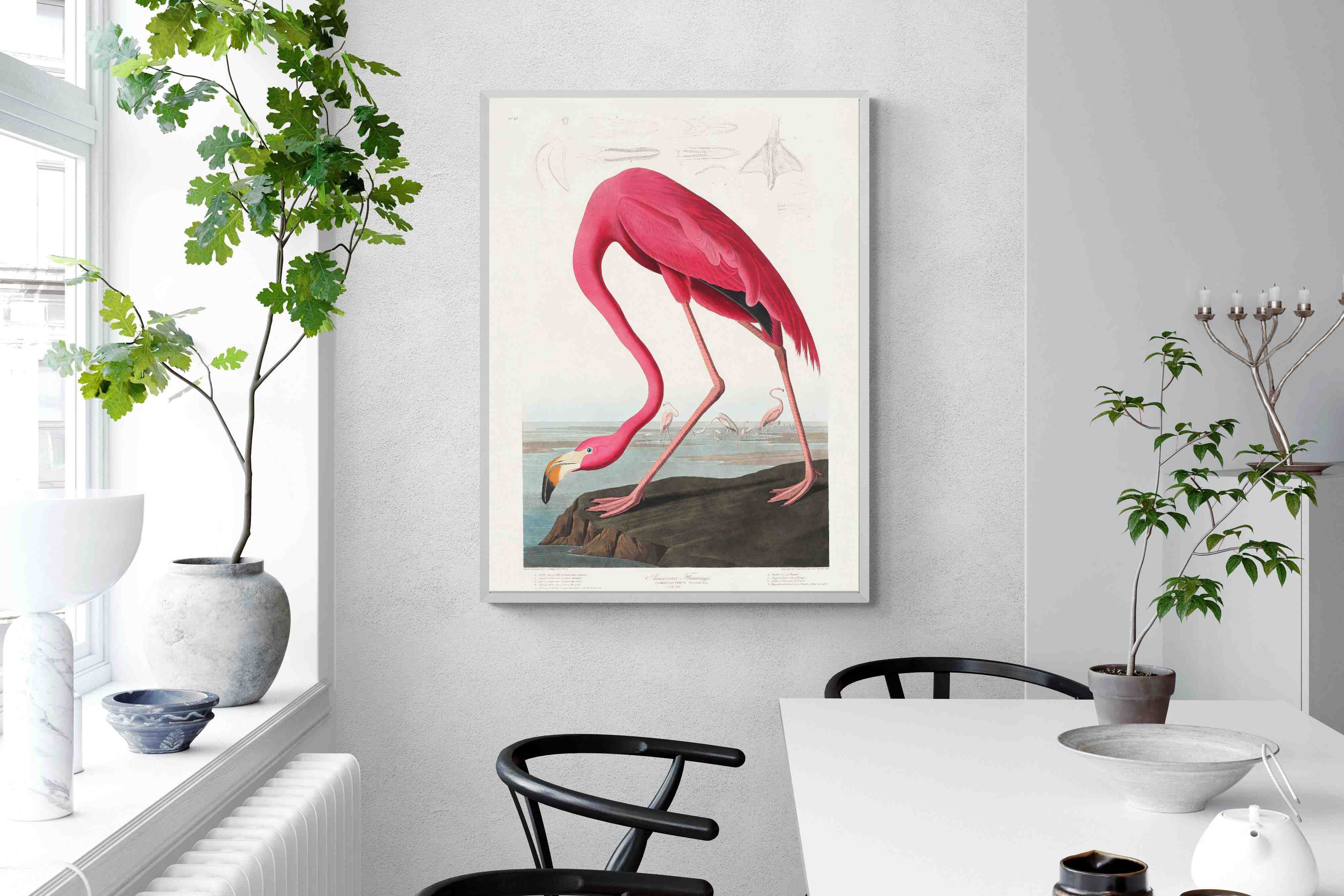 Pixalot Pink Flamingo (Birds of America 1827)