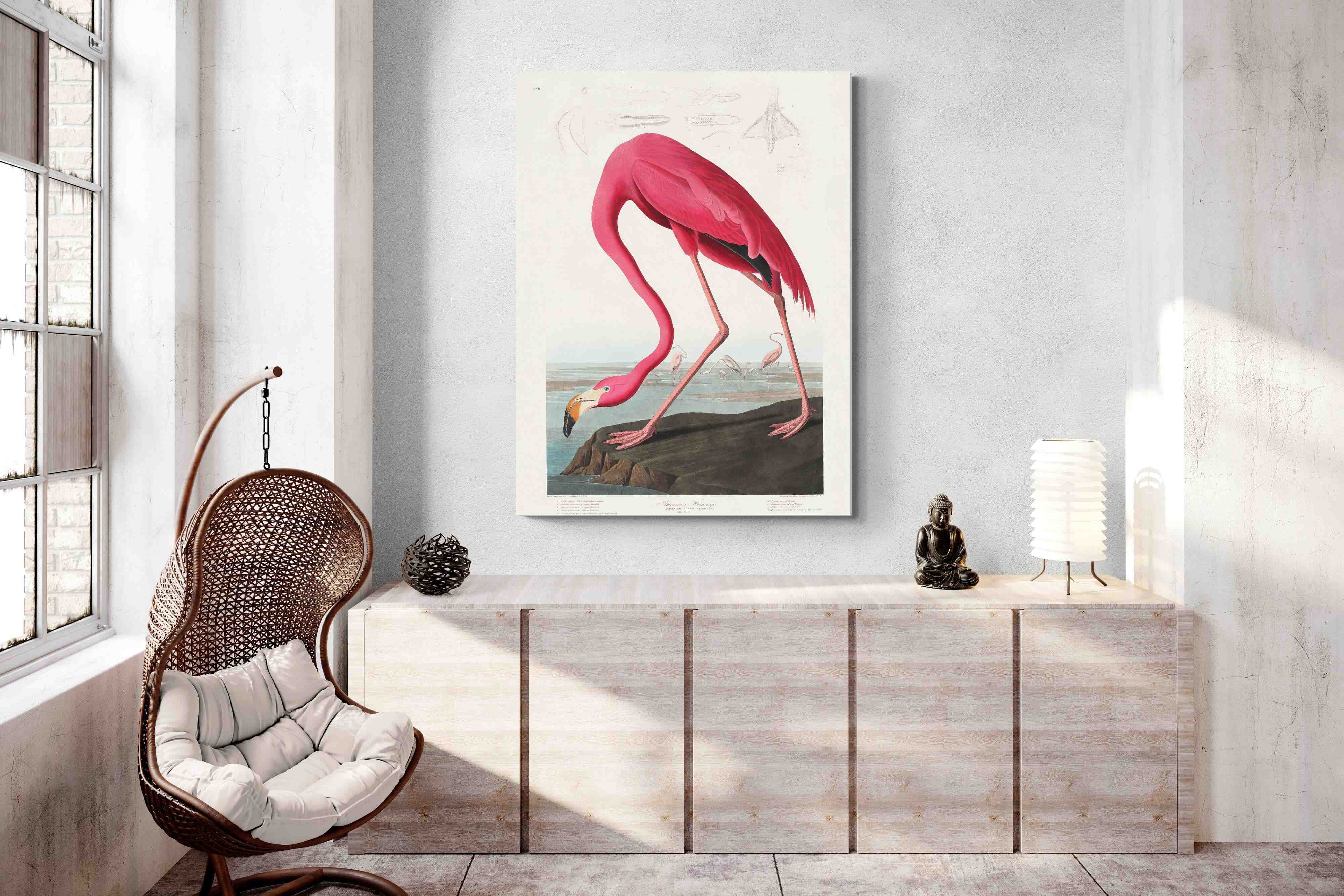 Audubon - Pink Flamingo from Birds of America Canvas