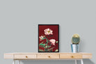 Pixalot Pink Hærdaceous Peony