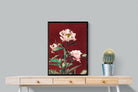 Pixalot Pink Hærdaceous Peony