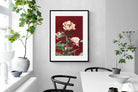Pixalot Pink Hærdaceous Peony