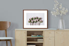 Pixalot Pink Protea Bunch