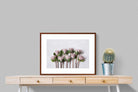 Pixalot Pink Protea Bunch