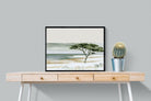 Pixalot ® Acacia By The Water