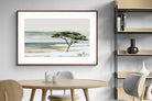 Pixalot ® Acacia By The Water