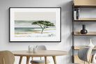Pixalot ® Acacia By The Water