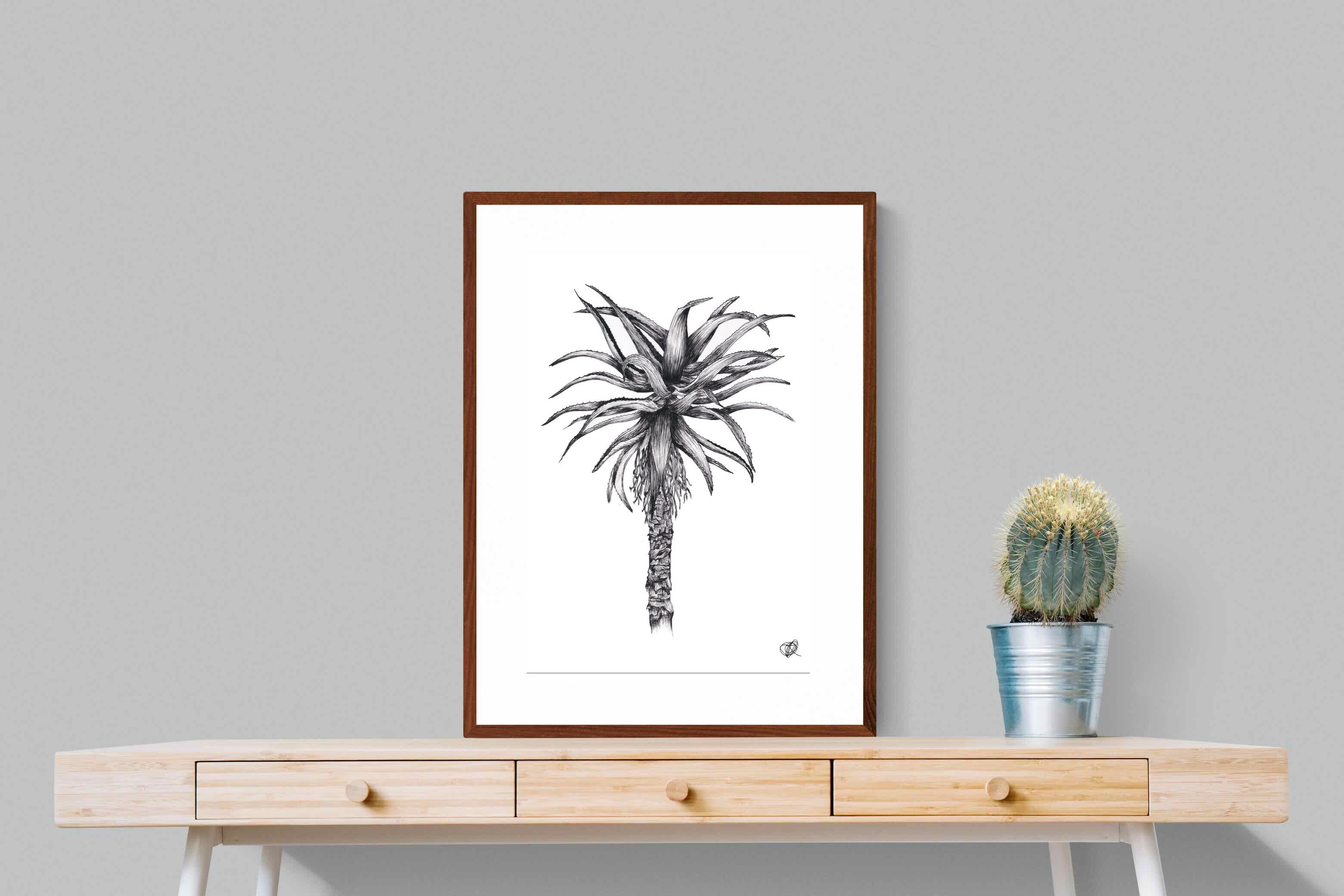 Pixalot ® Aloe Illustration