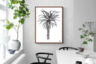 Pixalot ® Aloe Illustration