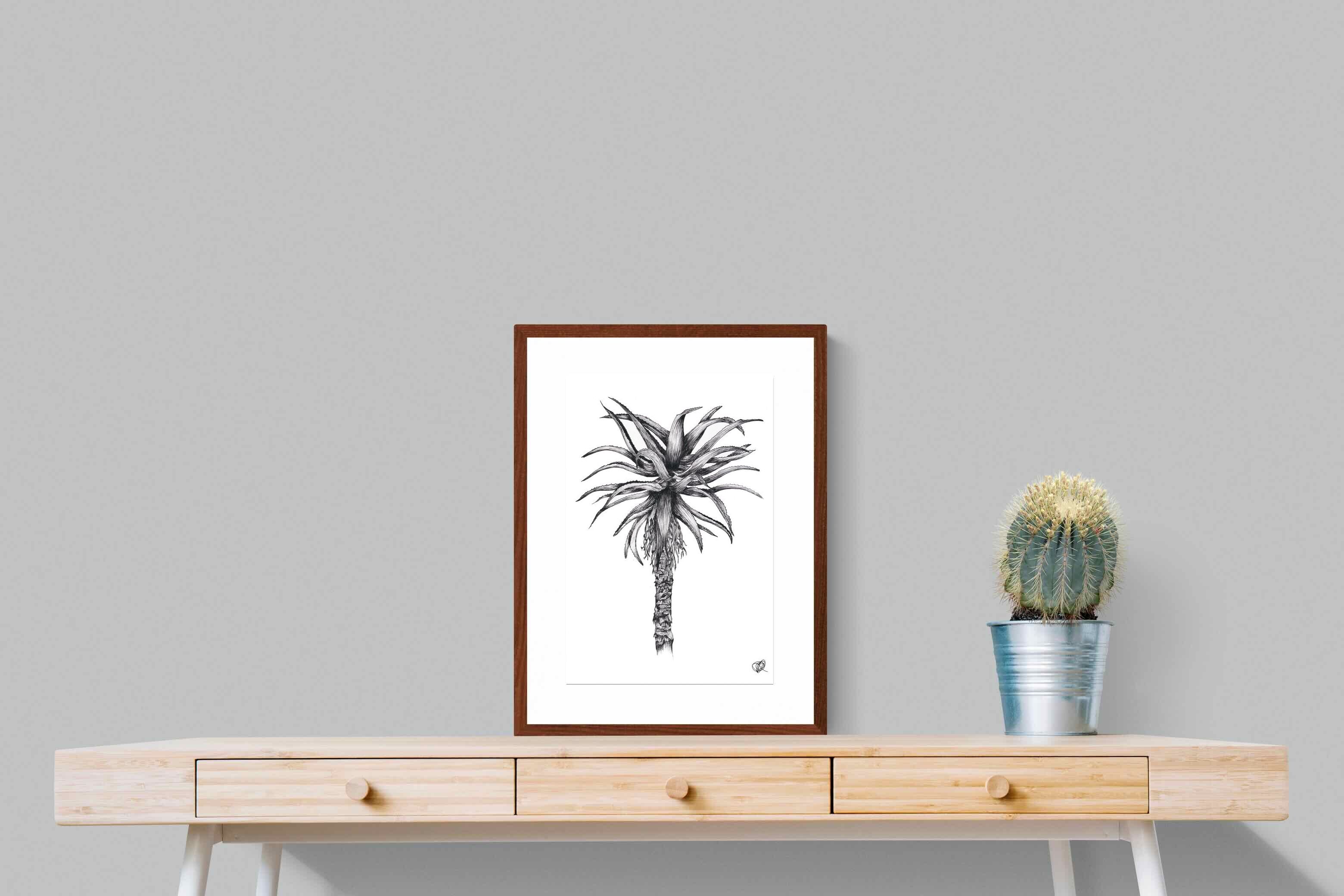 Pixalot ® Aloe Illustration