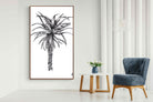 Pixalot ® Aloe Illustration