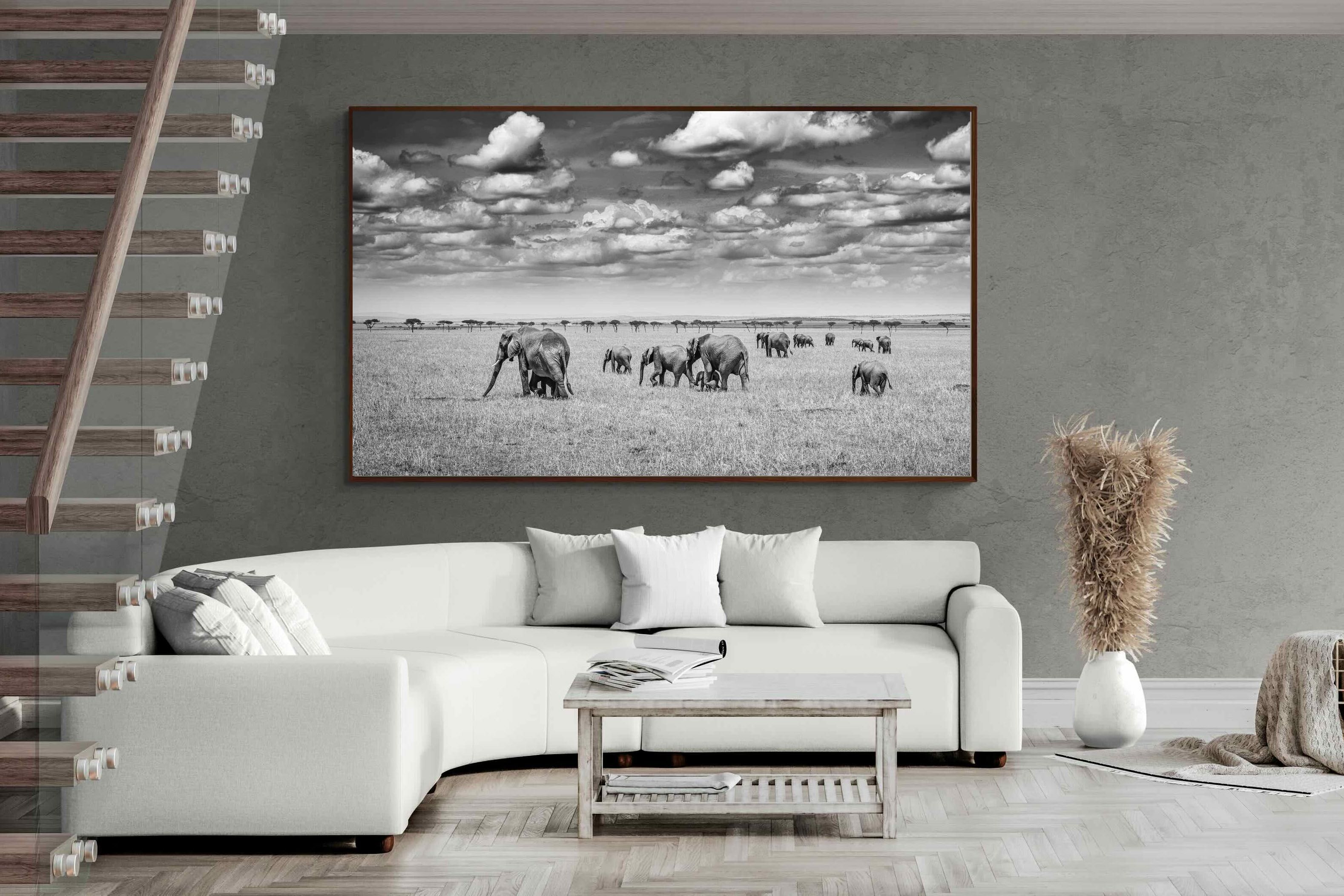 Pixalot ® Amboseli Elephant Convoy